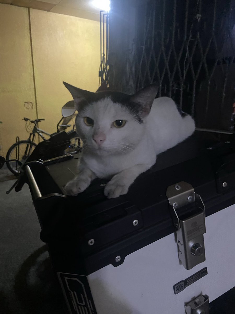 kaye 🍀 tweet media