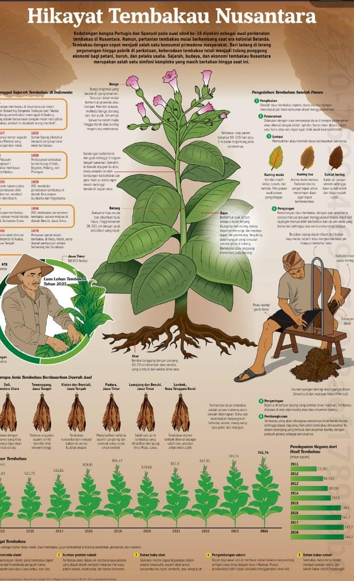 Bukan sembarang hikayat. 
Fakta, riil, tembakau sebagai komoditas perkebunan yang jadi tumpuan hidup petani dan menggerakkan ekonomi masyarakat #tembakaunusantara #petanitembakau #ekosistempertembakauan #tembakaukomoditasstrategis 

Source: Kompas