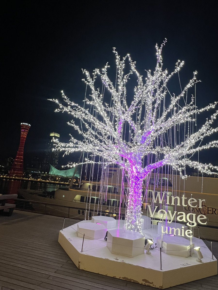 🌺1/28水 10時〜last🈳 🌺29木 10時〜13時🈳 14時🈵 18時🈵 🌺31土 11