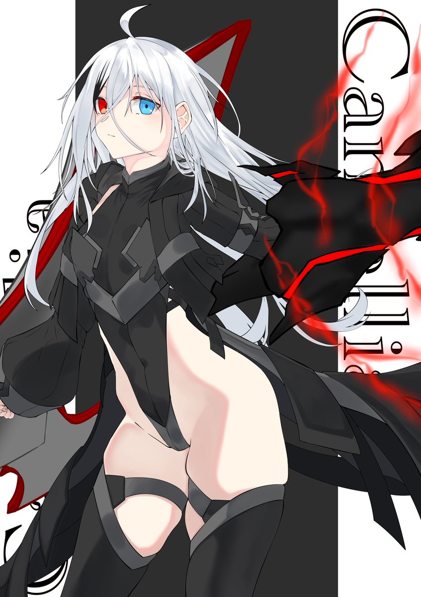 いろんなカミリア 