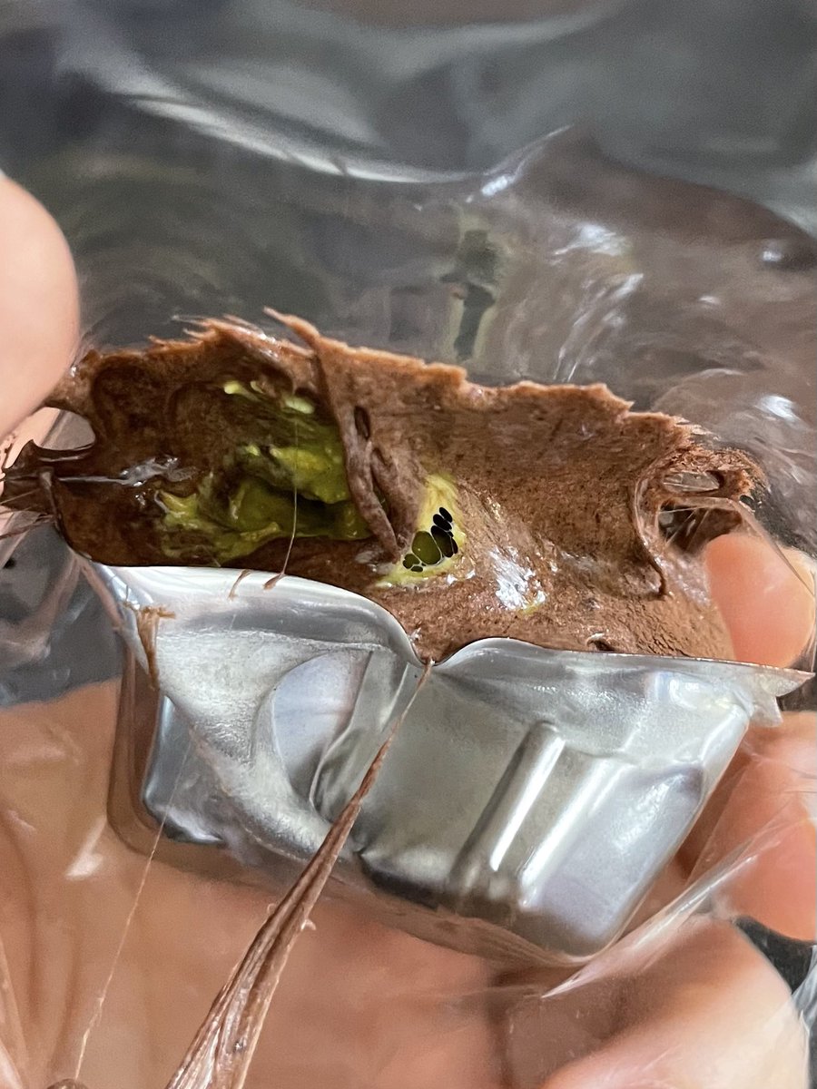 내 두바이........... 쌰갈