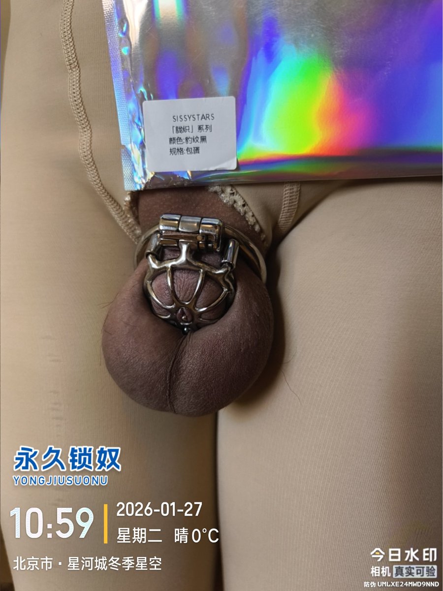永久锁奴 tweet media