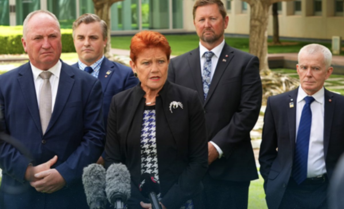 A group of bigger dills, you will never find in Australian politics. If this mob are the answer, then God help Australia. 🙏🏼 
#auspol