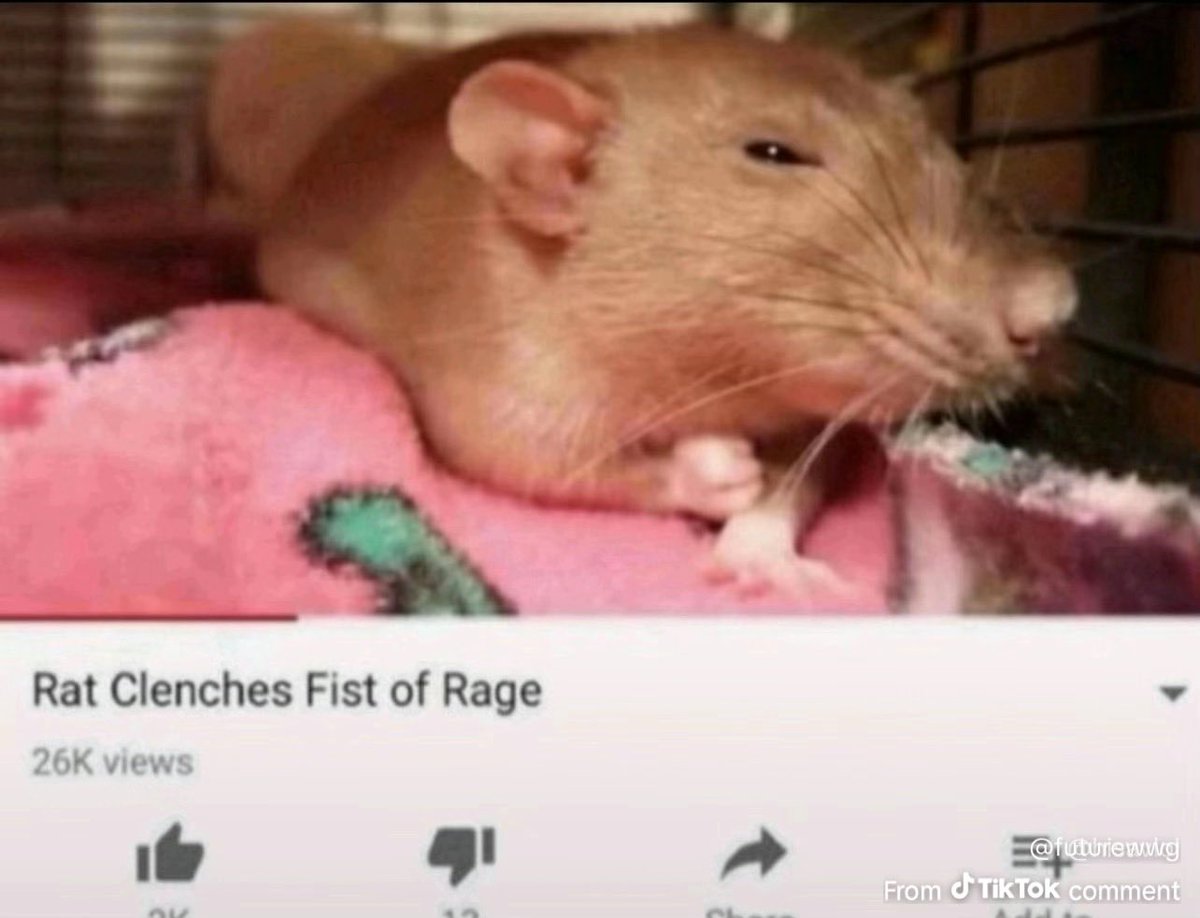 Frank Bergstrom (@frankbergs6696) on Twitter photo 