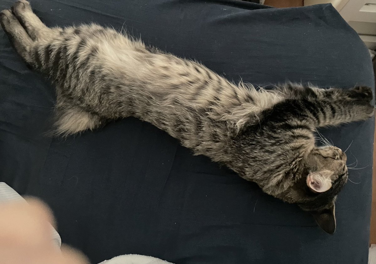 もち୨୧ *。 GB] Mochi40 - 40% Keyboard Kit – ALL CAPS