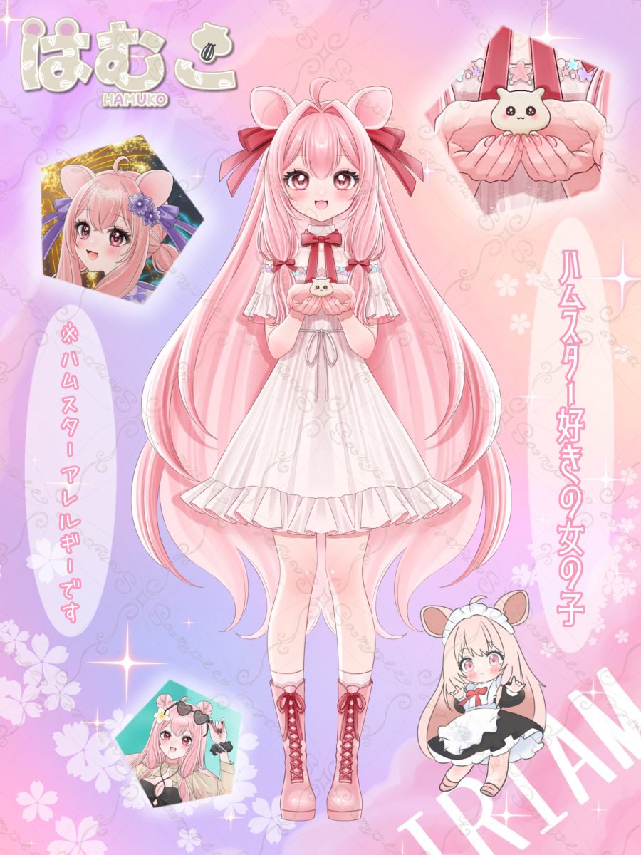 はむこ🐹 tweet media