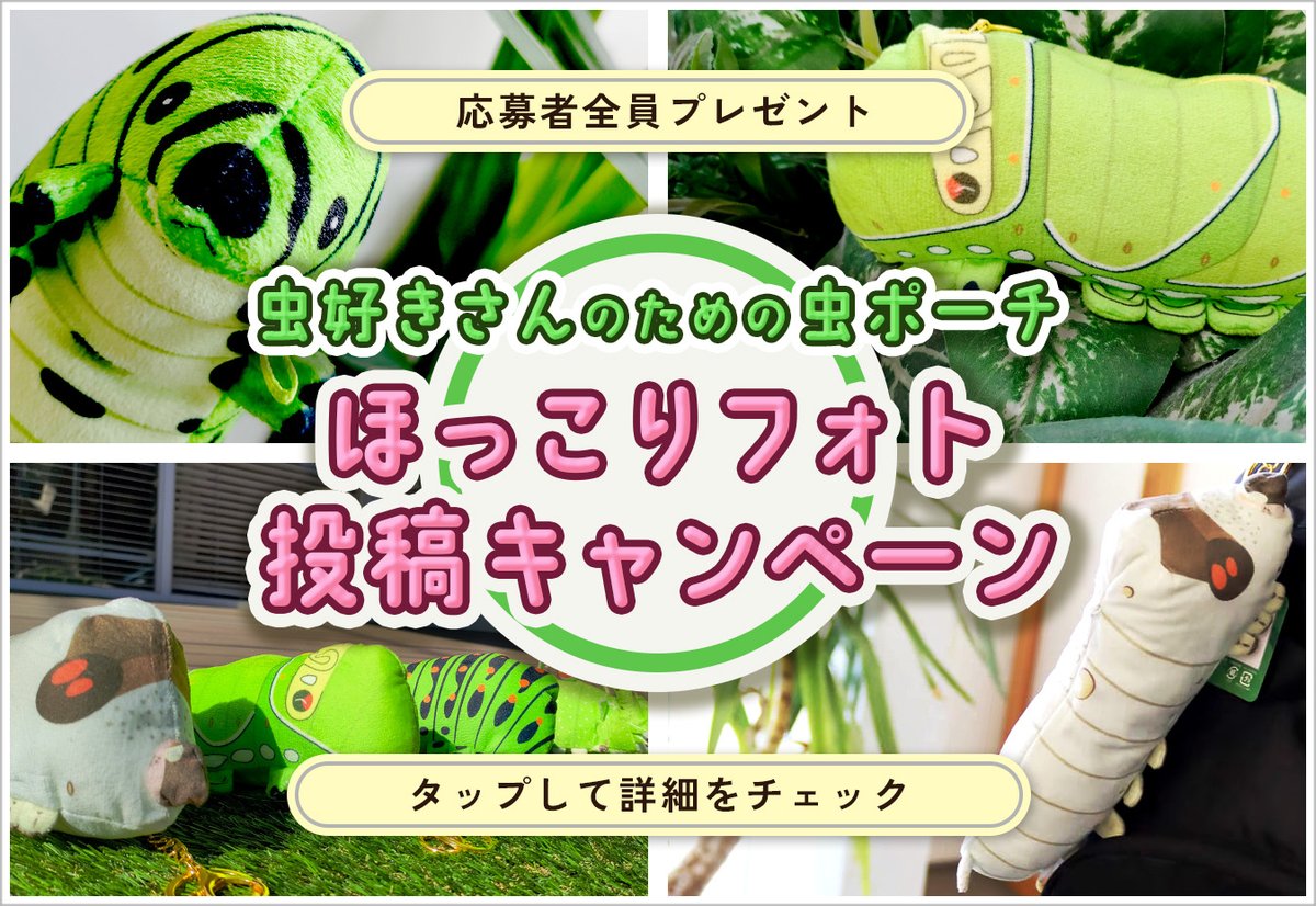 【昆虫食通販】バグズファーム｜BugsFarm tweet media