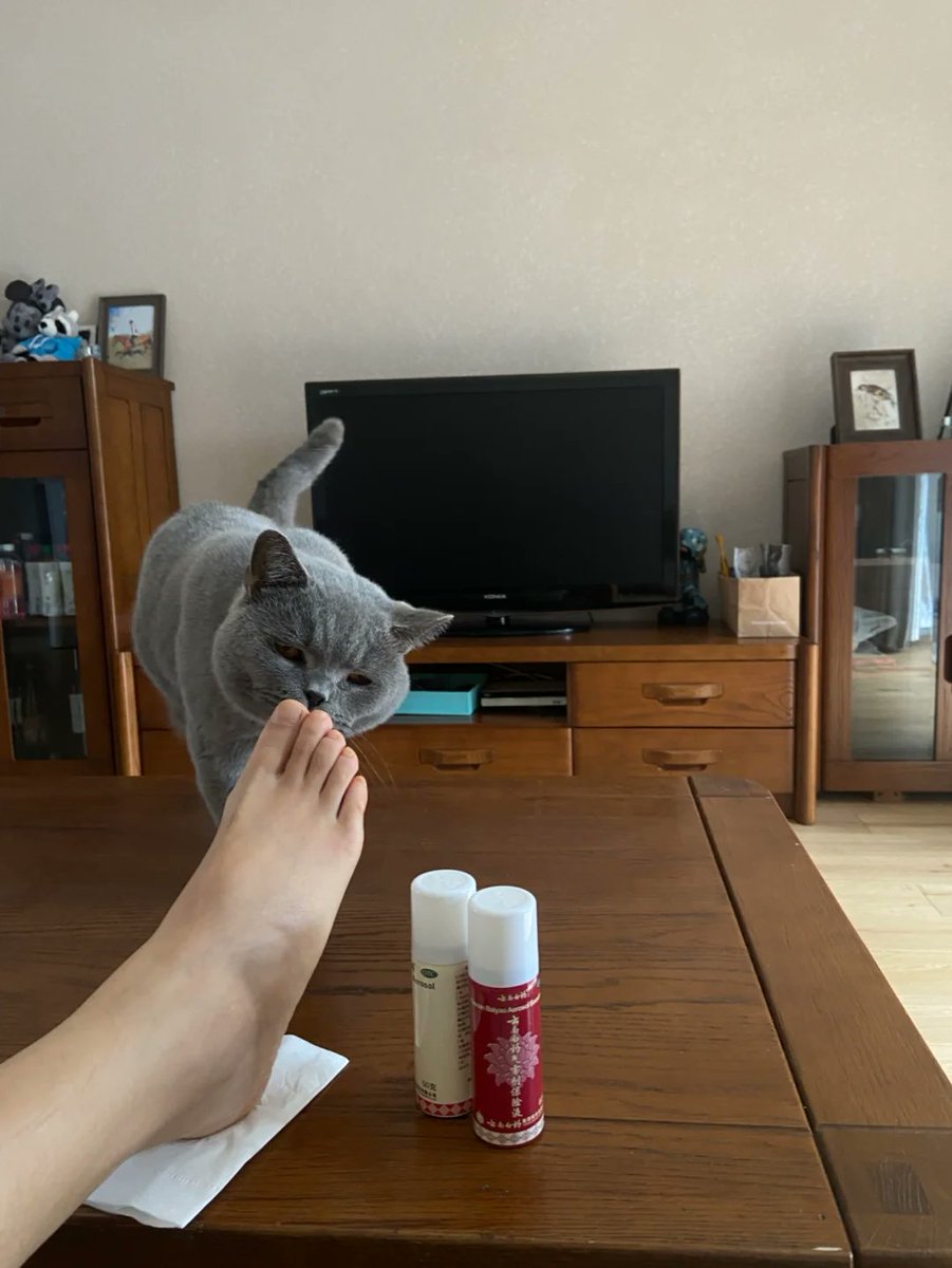 emIvyJzIqHZQMIz's tweet image. "Home isn’t a place—it’s the warm spot where your pup curls up.  #PetLove #HomeWithPets"