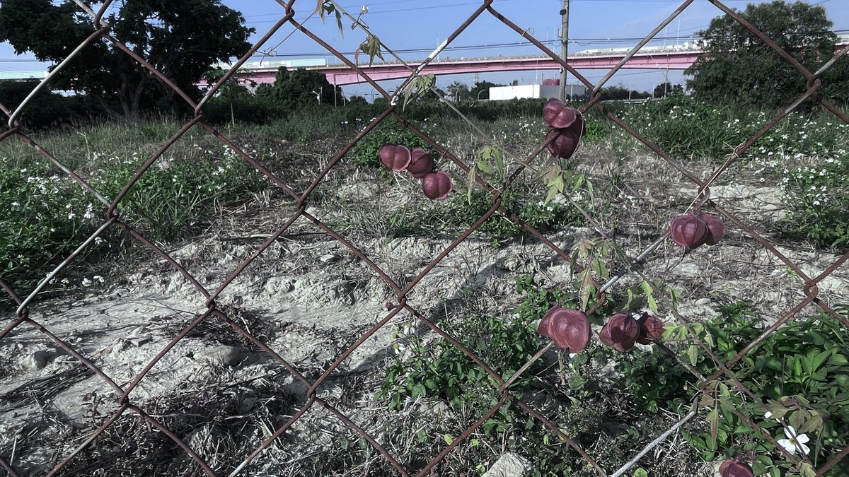 一回頭 日曆上已經是新的開頭