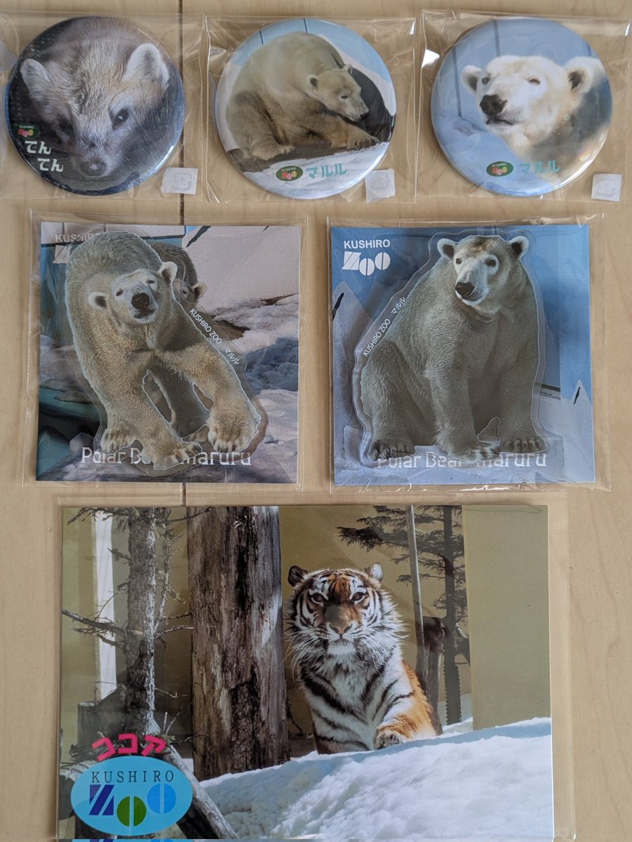 今日の購入品✨ この他にオタリアサブレも購入✨ #釧路市動物園