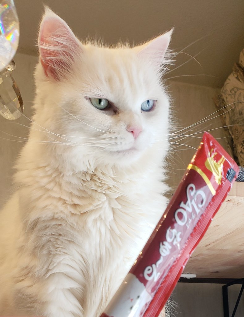 おめでとう🎍🎌🎍(⌒,_ゝ⌒)🎈🏡🎈 ございました🎊🎉💐🎁🎂🎀🥳🍀🌹