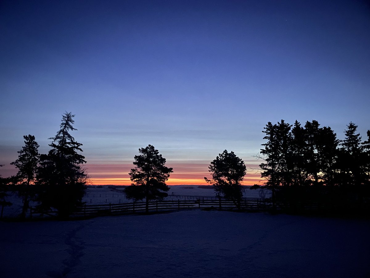 MajerKiller (@vertexfanatic) on Twitter photo 