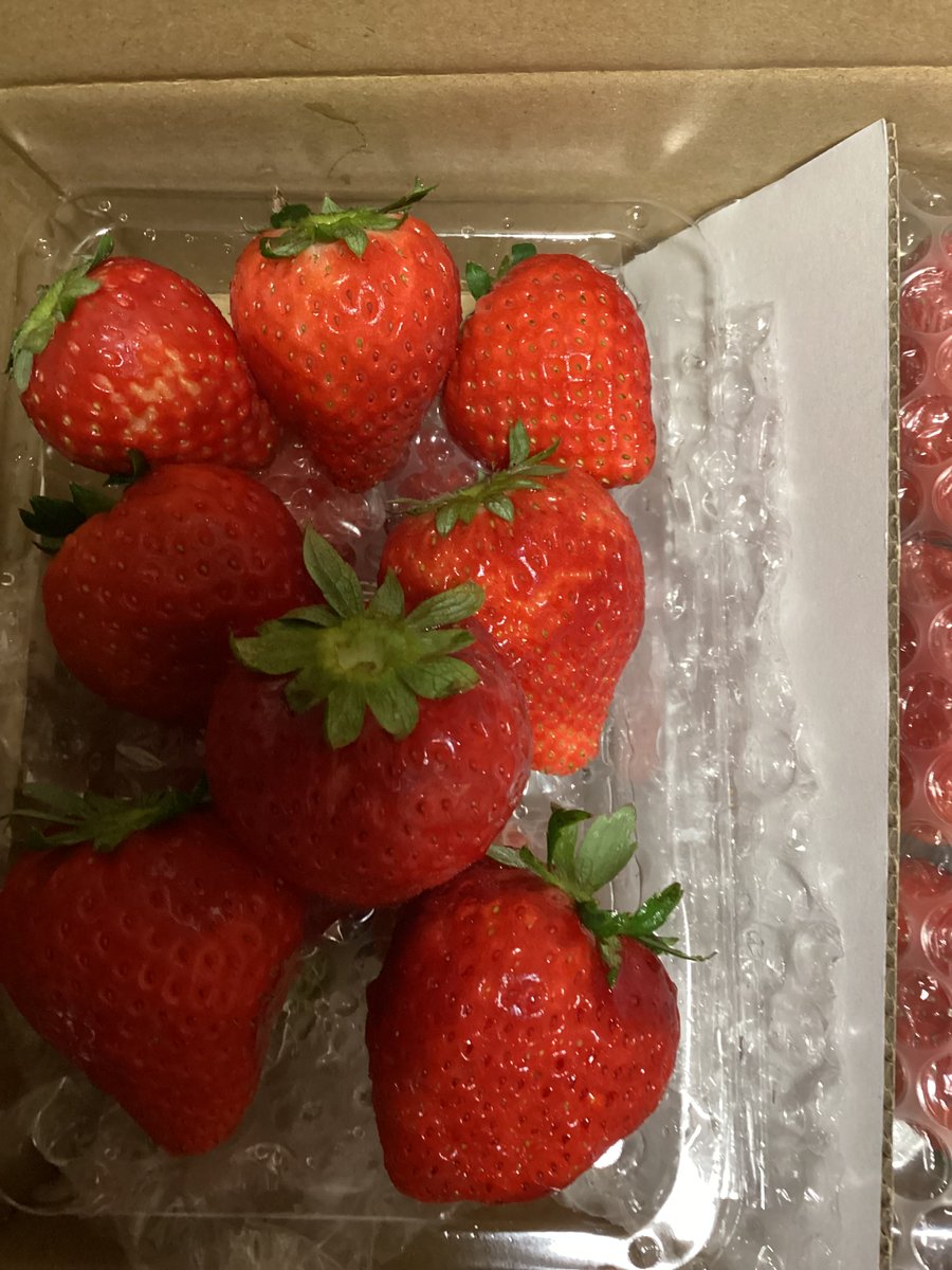 幸福屋ゆう✴配送迅速ページ 幸福屋ゆう✴配送迅速様専用ページ