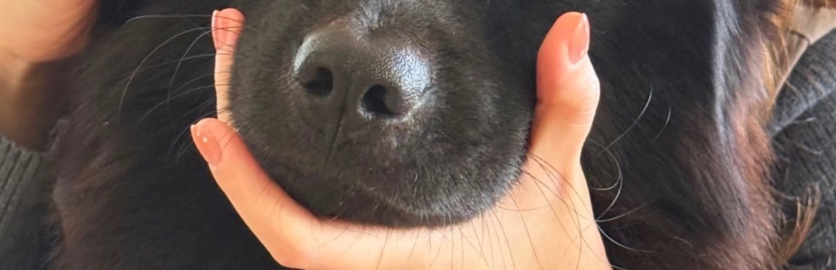 dailypxst's tweet image. Tap the post