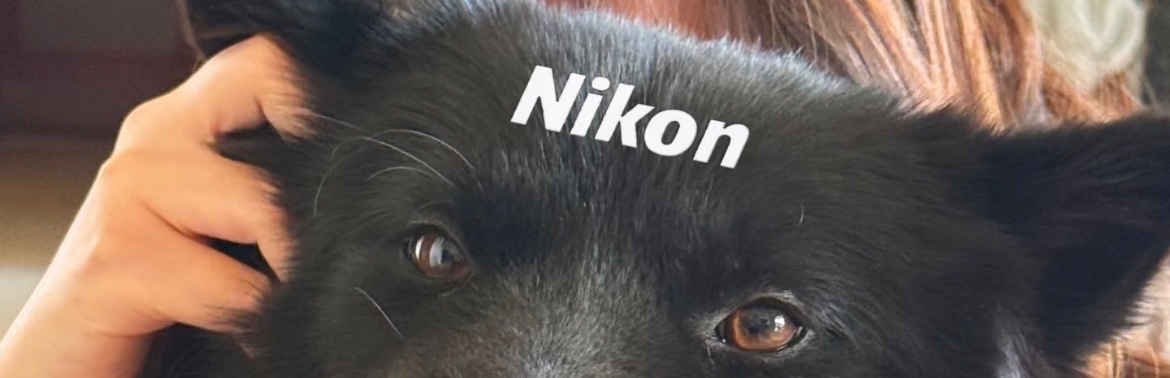 dailypxst's tweet image. Tap the post