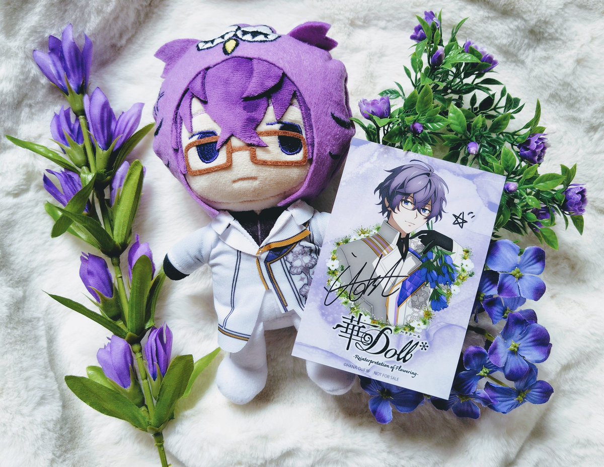 #華dollアニメ
#AnthosFandom
御縁がありキャストサイン入りのブロマイドに当選する事ができました✨
伊東健人さんに選んでもらった上に、ぬいにも気付いてもらえて本当に嬉しかったです💜🦉
一生の宝物にします