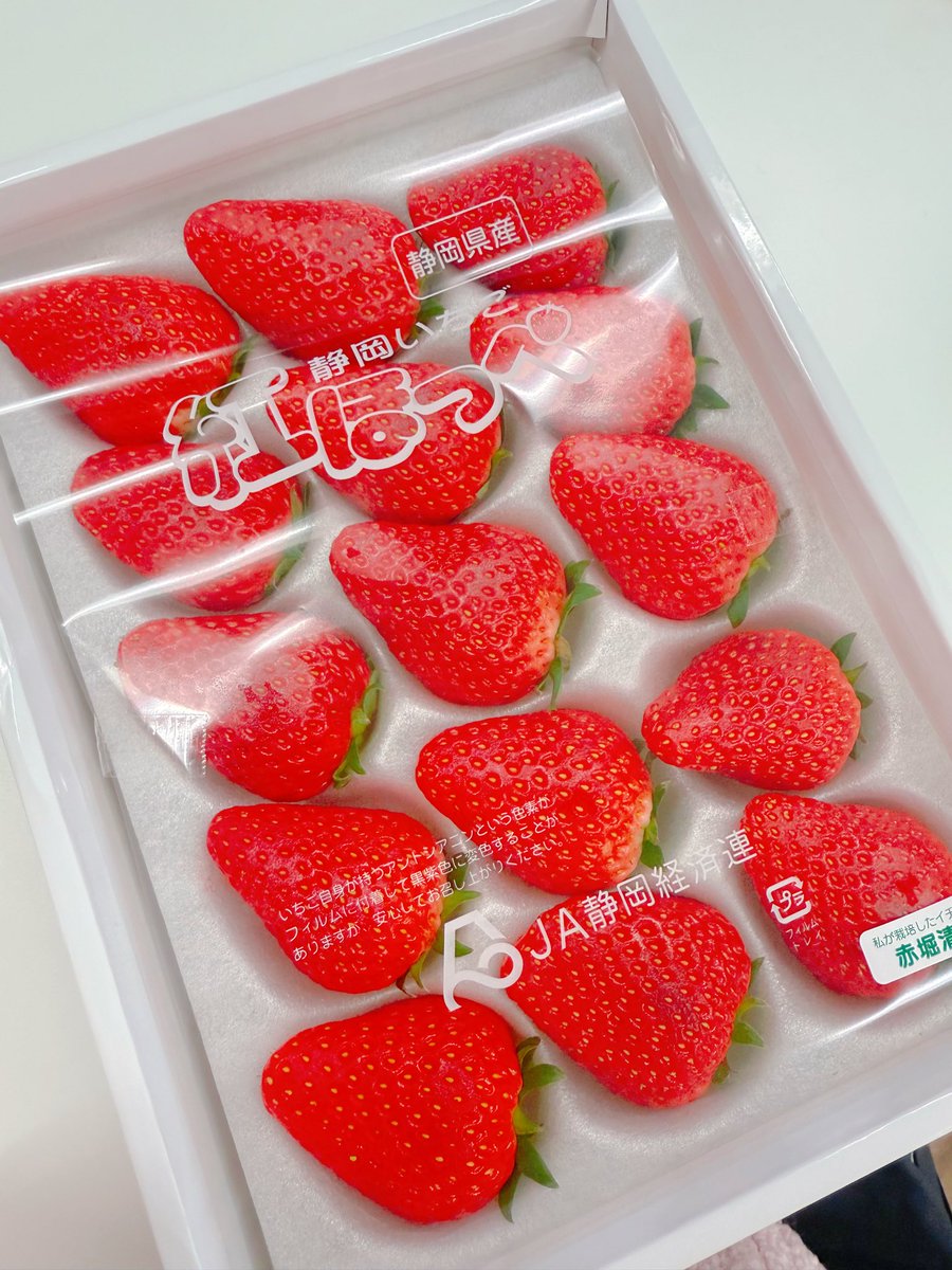 มินามิ โคจิมะ