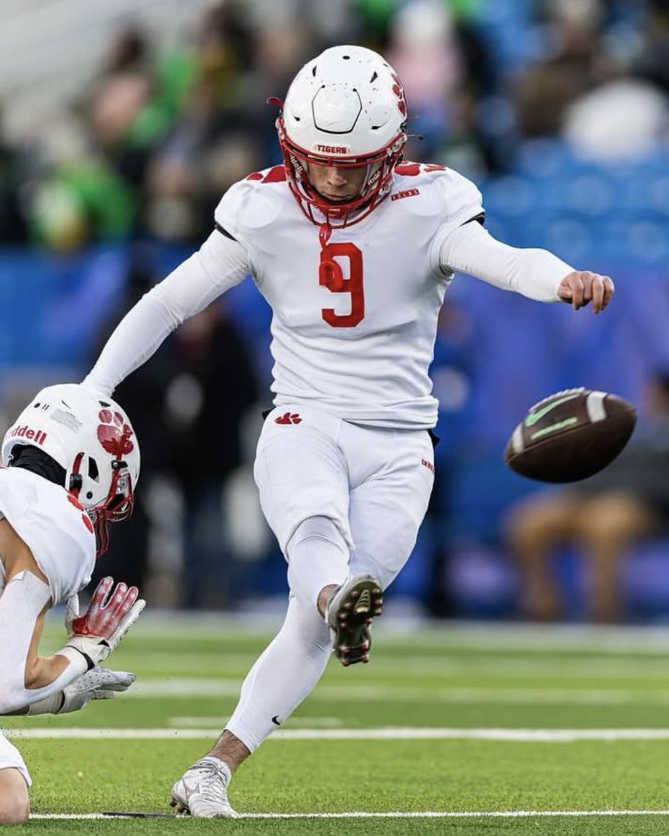 Spec Scouting tweet media