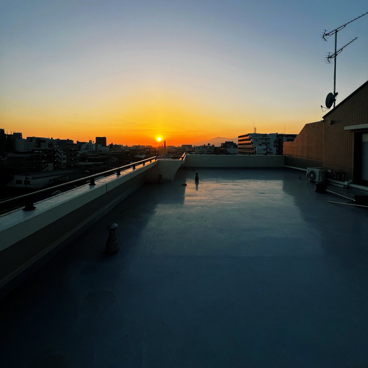 新居、クソデカバルコニーを手に入れた。早く植物と亀と夕日見ながらコーヒー啜りたい。