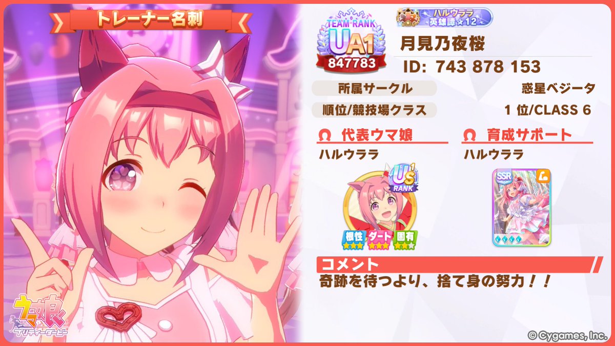 月見乃夜桜 tweet media