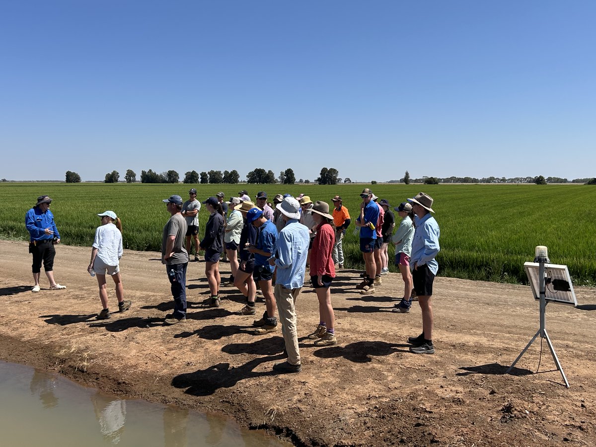 Rice Extension tweet media