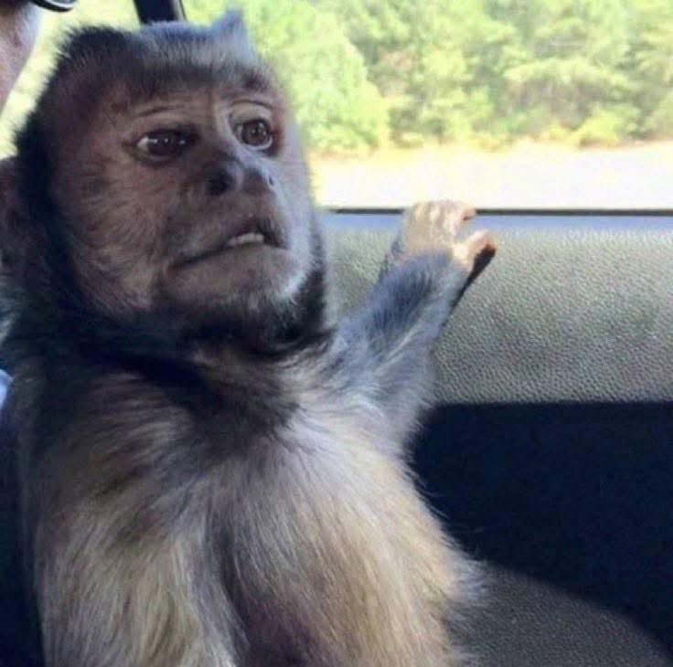 When they start checking their WhatsApp while going 140 km/h😭…….