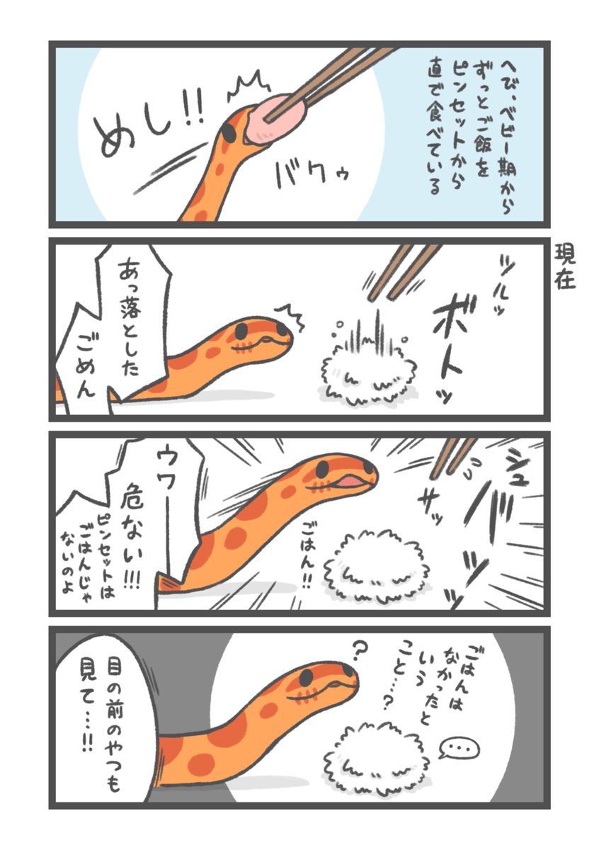 ヘビ君 (@hebikun99) / Posts / X