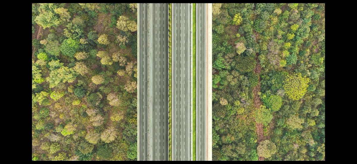 Devanahalli Rising-North Bengaluru tweet media