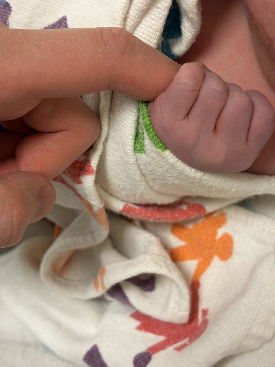 Aaron Ng tweet media