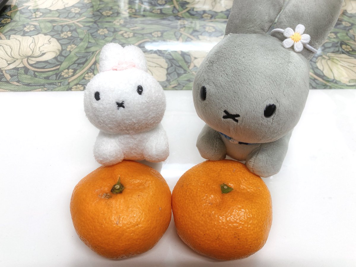 Post by みっふぃさんのおうち on X: でざーと🍊