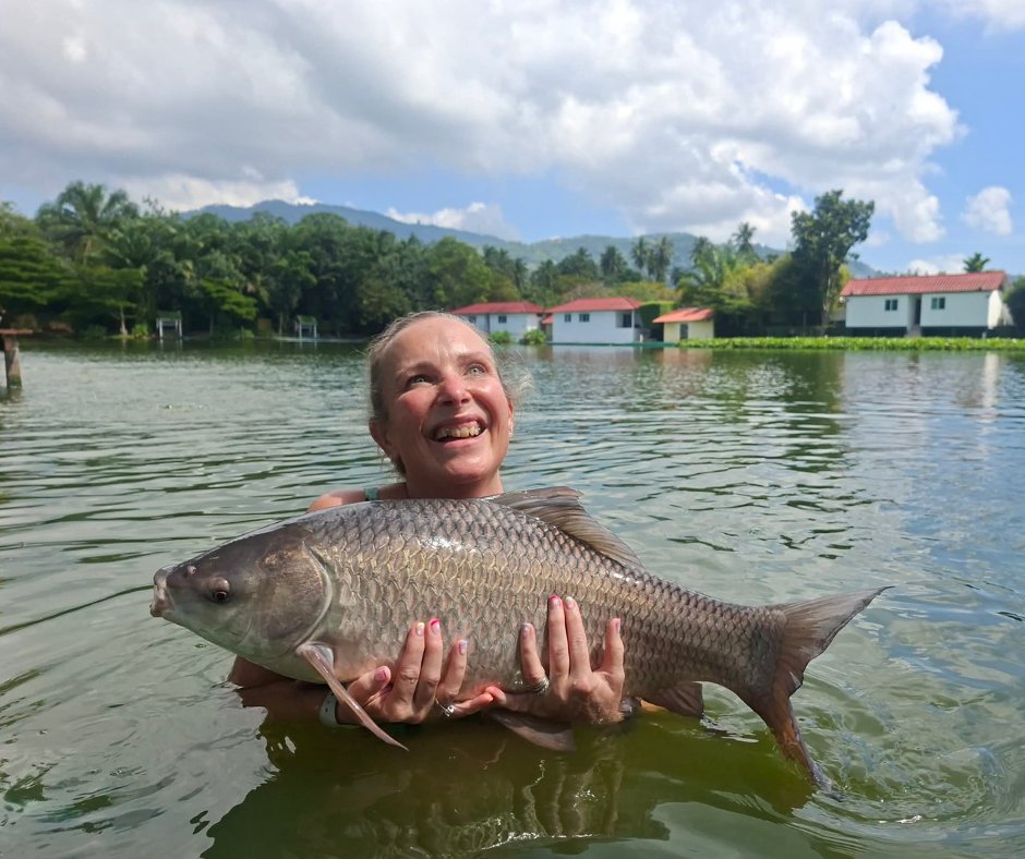 Species Spotlight: Rohu Carp 🐟

Often called one of the most underrated fighters in freshwater, the Rohu Carp is all about speed, balance, and surprise. 

#TopCatsFishingResort #SpeciesSpotlight #RohuCarp #FreshwaterGiants #FishingThailand #AnglersLife