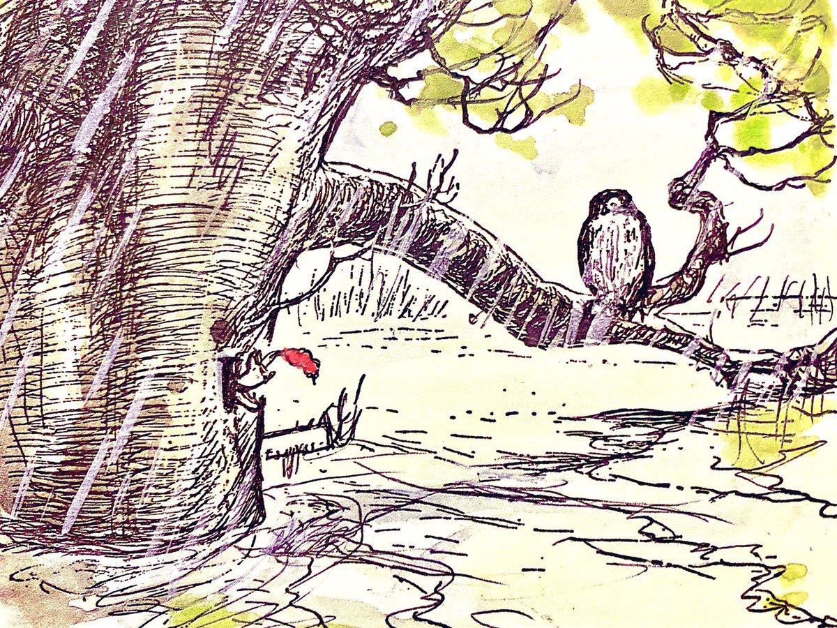 The only danger Piglet had been in during the Terrible Flood was when Owl sat and told him a long story about an aunt who had laid a seagull’s egg by mistake, and the story went on and on until Piglet went to sleep, slipping slowly out of the window towards the water. ~A.A.Milne