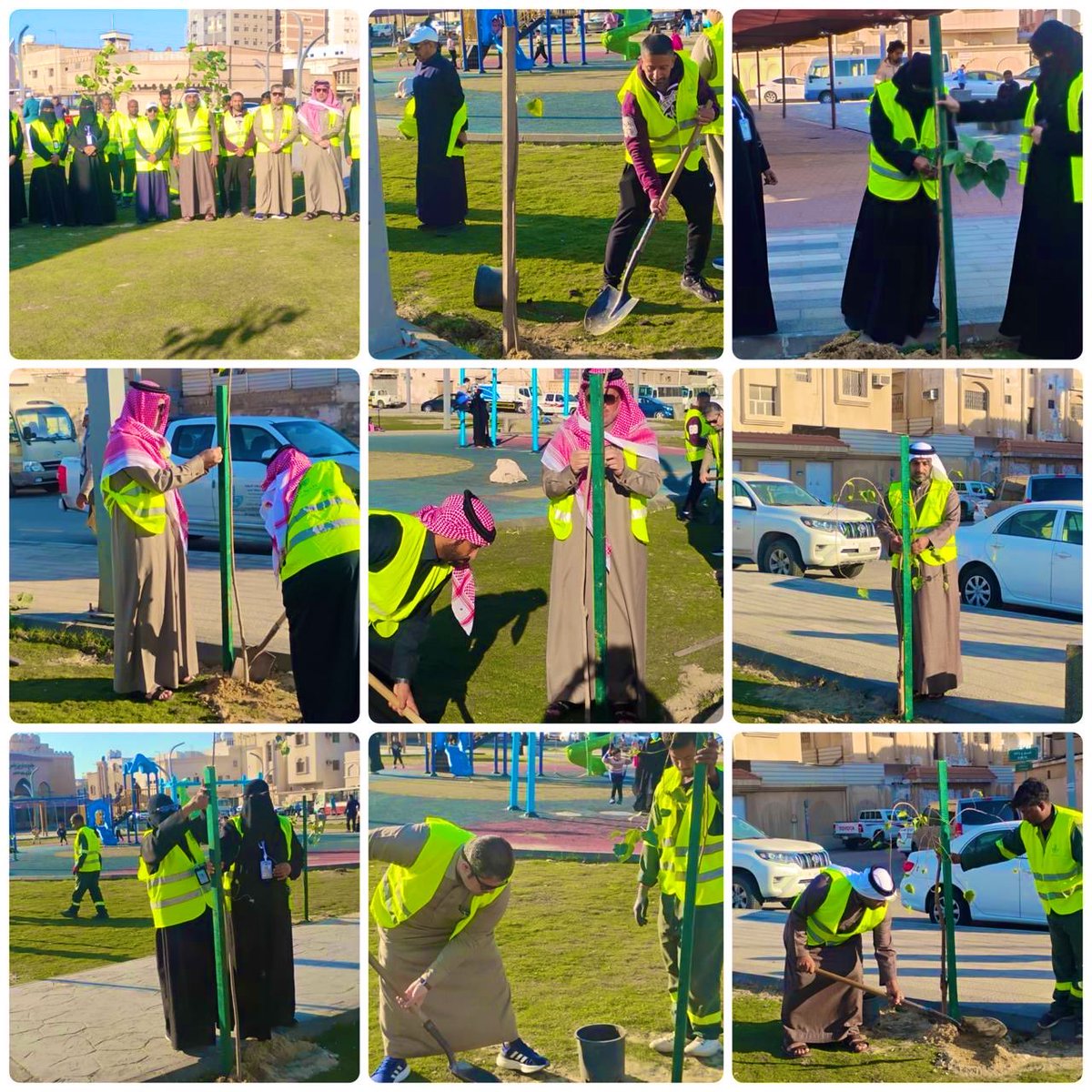 jubail_mun's tweet photo. | ✨

جانب من أعمال مبادرة زراعة الأشجار مساء أمس في حديقة المرقاب ضمن مبادرة #الشرقية_خضراء لتعزيز الغطاء النباتي وتحسين المشهد الحضري ورفع جودة الحياة

#أمانة_المنطقة_الشرقية
#بلدية_الجبيل https://t.co/xQBi7v2Tki