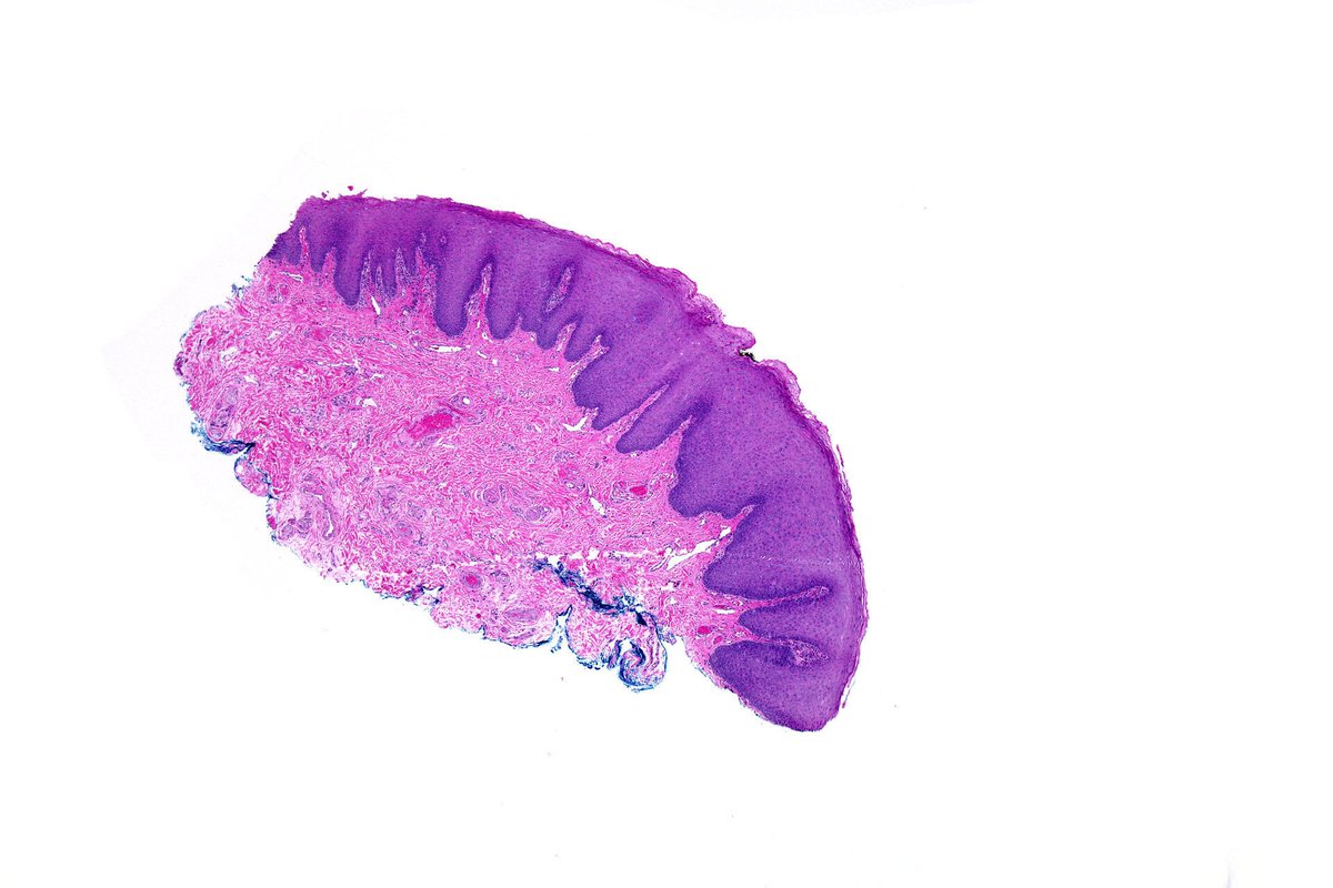 Hassan Khormi tweet media