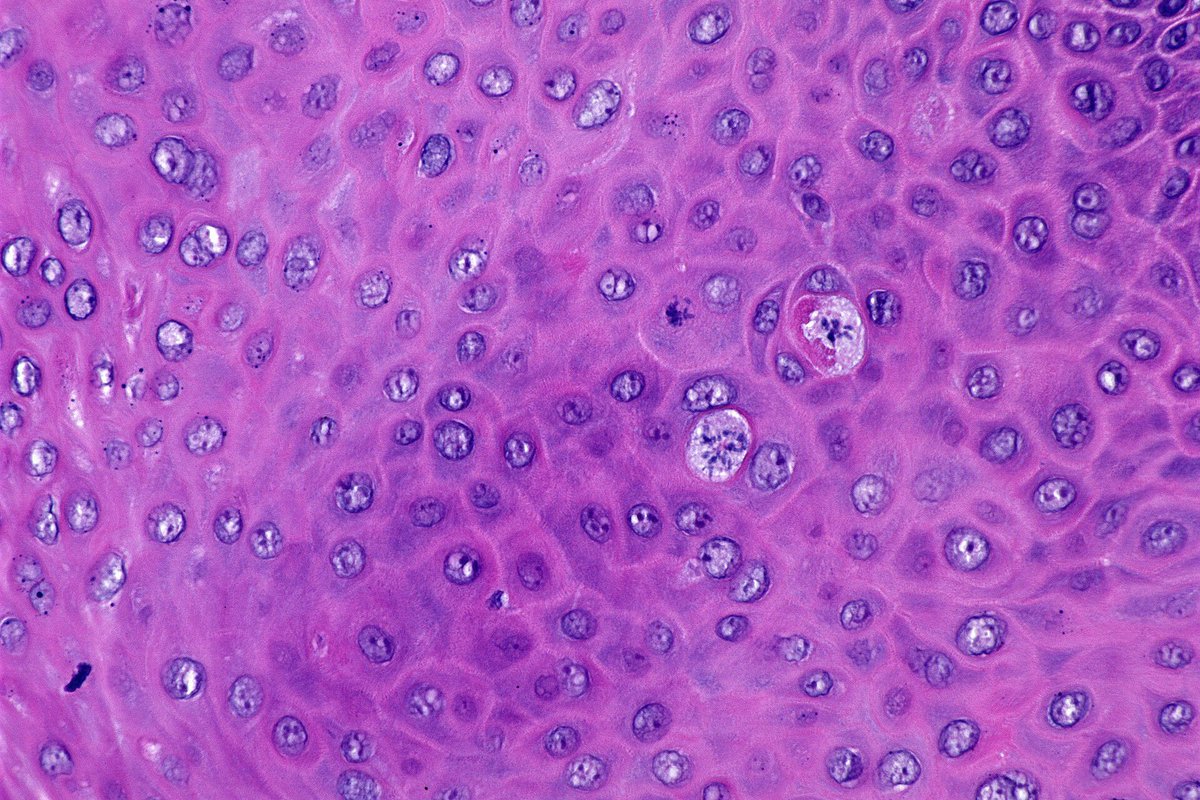 Hassan Khormi tweet media