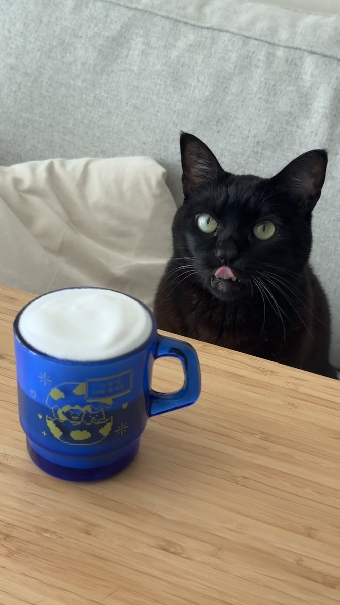 카푸치노 드실 분?