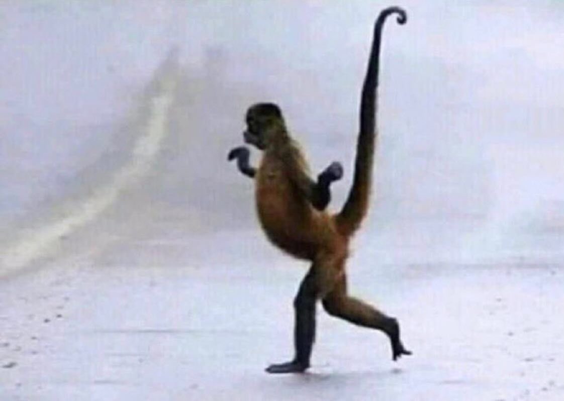 Trader Tony tweet media