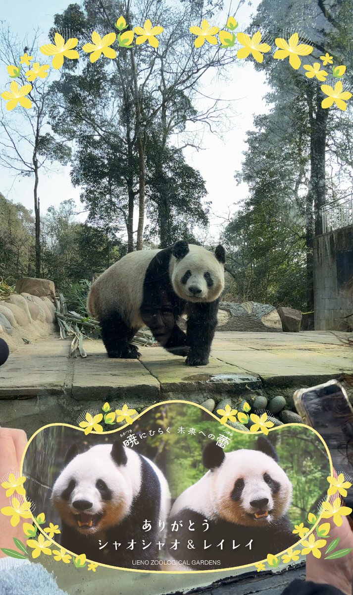 xiangmaru (@xiangmaru612) / Posts / X