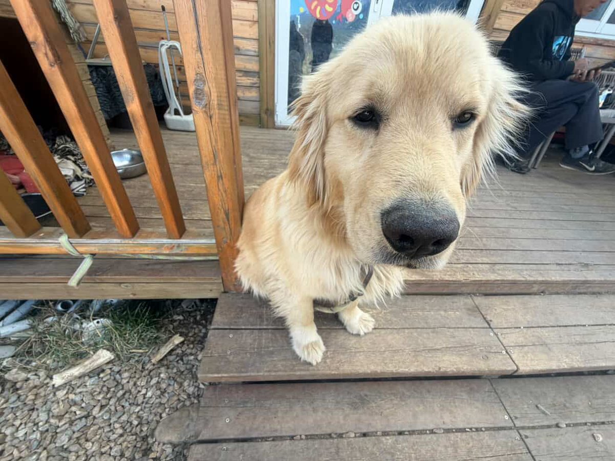 พี่ตั้ง tooddum น้องตั้ง toodniew ครับจาร