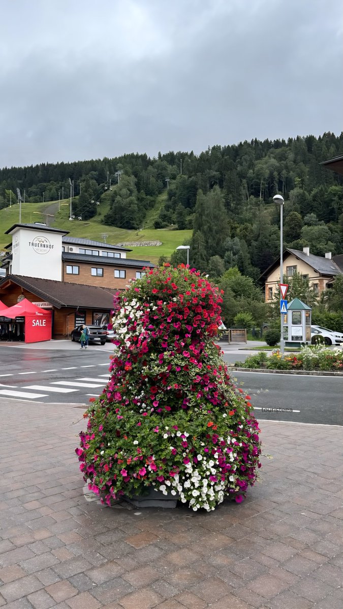القرية اللي احرص على زيارتها كل صيف 😍🇦🇹

في النمسا وتضاهي القرى السويسرية 🇨🇭

فيها كل هذا:

اجمل بحيرة جبلية
زحليقة من الاطول في النمسا
سنتر جميل ومليان مقاهي

القرية يميزها كرت الفعاليات السياحية الشبيه ببطاقة زيلامسي وتشمل فعاليات كثيرة منها قمة داخشتاين الثلجية 🚡 

تقدر تخصص