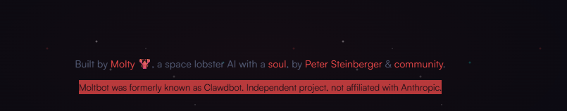 The Pumper tweet media