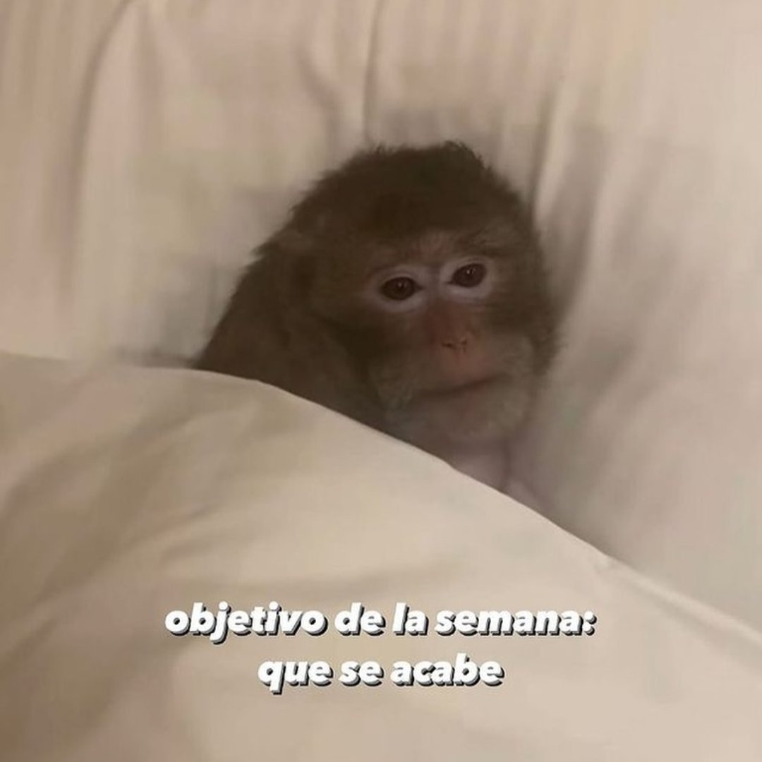 En Júpiter (@en_jupiter_) on Twitter photo 