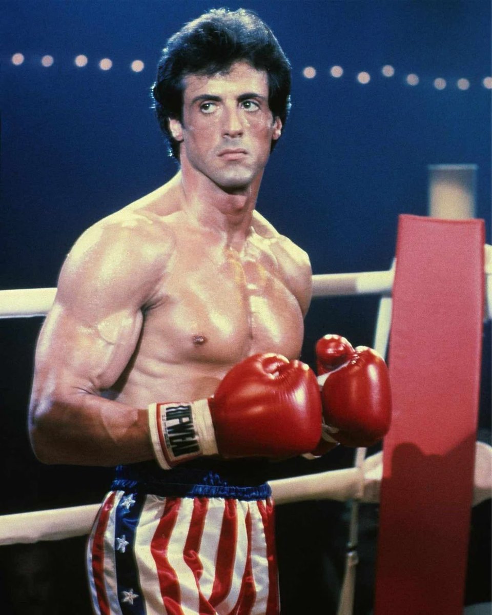 Italian Stallion tweet media
