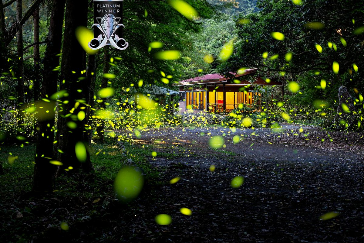 𝟐𝟎𝟐𝟓 𝐏𝐥𝐚𝐭𝐢𝐧𝐮𝐦 𝐖𝐢𝐧𝐧𝐞𝐫 📷

Summer Night Dance at the Retreat by Shang Yao Yuan

Winner's Page: tinyurl.com/2njkbhaw
➡️ Enter now: musephotographyawards.com 

#MUSE #MUSEawards #MUSEPhotographyAwards #PhotoAwards #MUSEHighlight #MUSEWinningWork #nightphotography