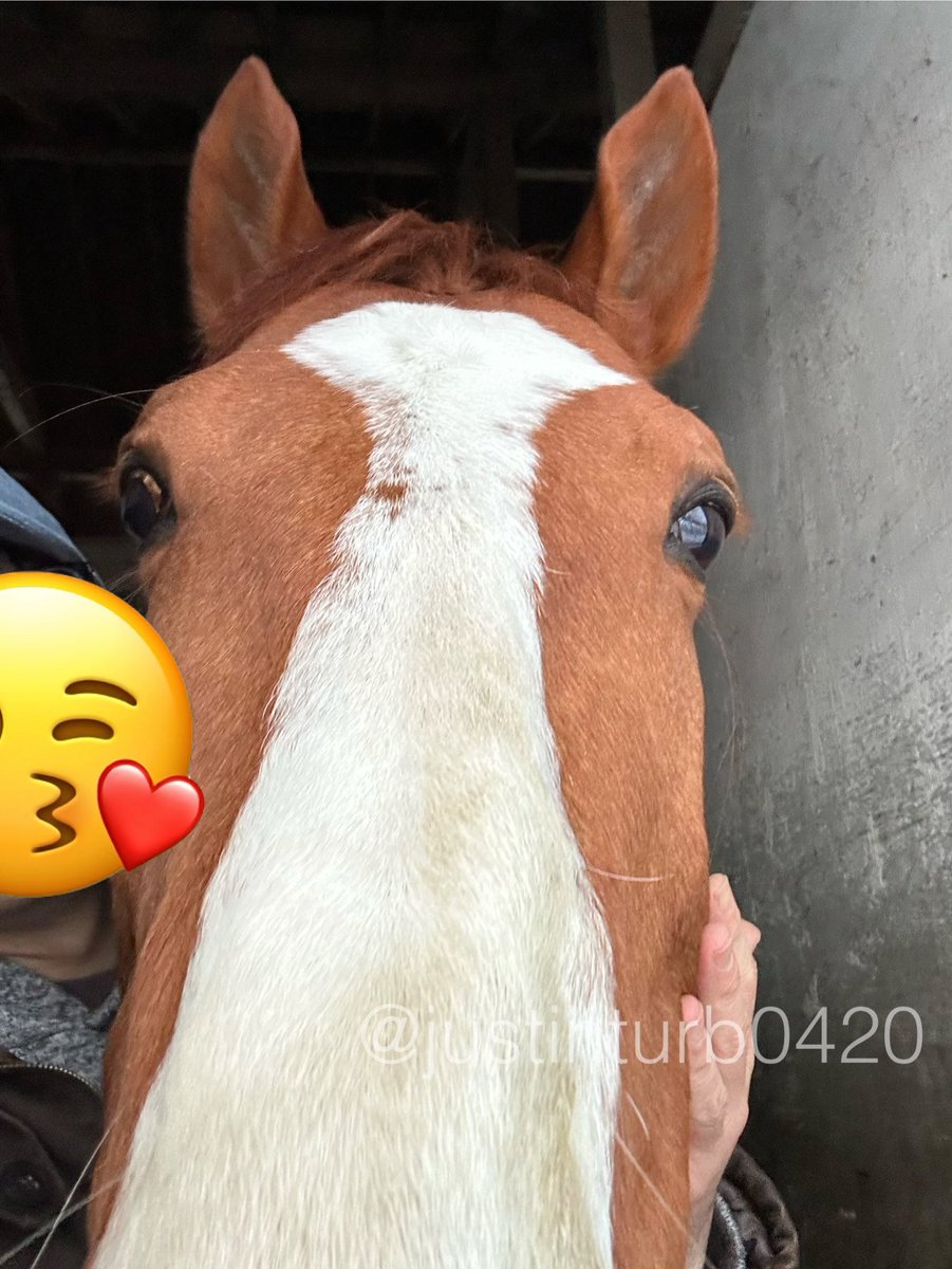 GOGOターボさん（ジャスティンターボ） (@justinturb0420) / Posts / X