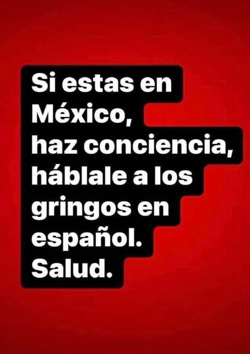 Multiforo Alici@ (@multiforoalicio) on Twitter photo 