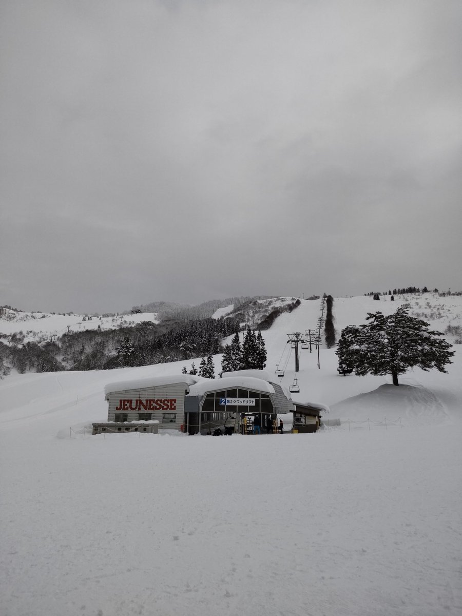 h32982269's tweet image. 今日の雪は先週より柔らかかった。インソール替えたら舟状骨がブーツに当たらなくなった。足がブーツにまっすぐ入っている感じ。快適❗️#stepcraft #wapan #ジュネス栗駒