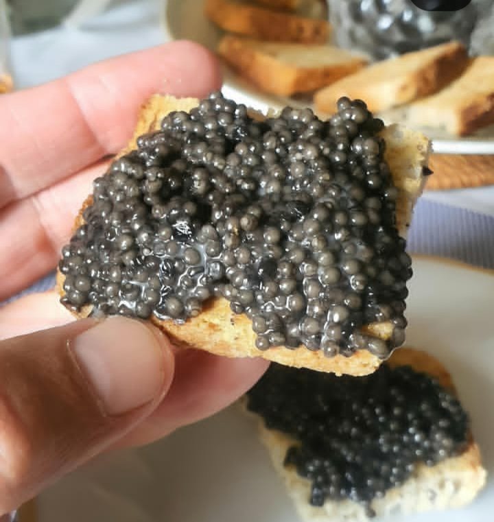 O_Kras's tweet photo. Меня спрашивают, как есть икру.
Надо просто кусать. Как на втором снимке.
В общем, ничего сложного. https://t.co/nAlfI8T8Fe