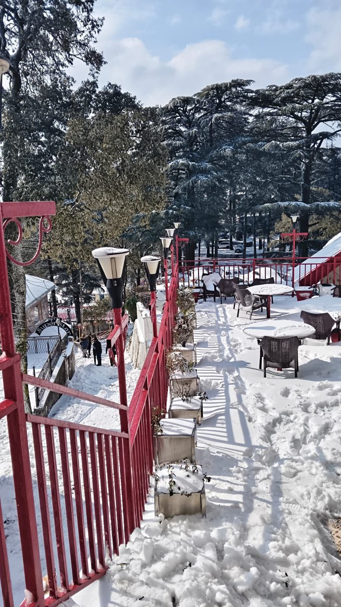MdTourTravels1's tweet photo. Snowfall in dalhousie ♥️🌨️🌨️

#hotelnewpalacedalhousie

#dalhousie #SnowfallVibes #snow #himachal #mdtourtravels https://t.co/TpxXAZYKWT