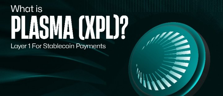 M_A_X_JACK's tweet photo. @Plasma is a purpose built Layer 1 blockchain focused on stablecoin settlement. It combines full EVM compatibility sub second finality to deliver fast and reliable transactions Gasless USDT transfers  stablecoin based fees remove friction and simplify everyday usage.$XPL #plasma https://t.co/TYLnpdxWfe